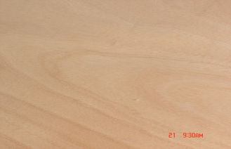 MDF rotatorio amarillo de la chapa del corte de Okoume para la superficie de los muebles