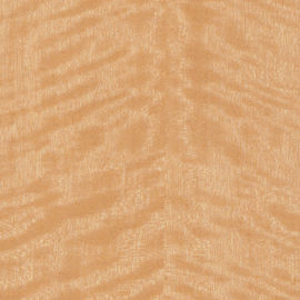 Chapa de madera de abedul del corte de la corona de oro con el grueso de 0.5m m para los paneles de pared